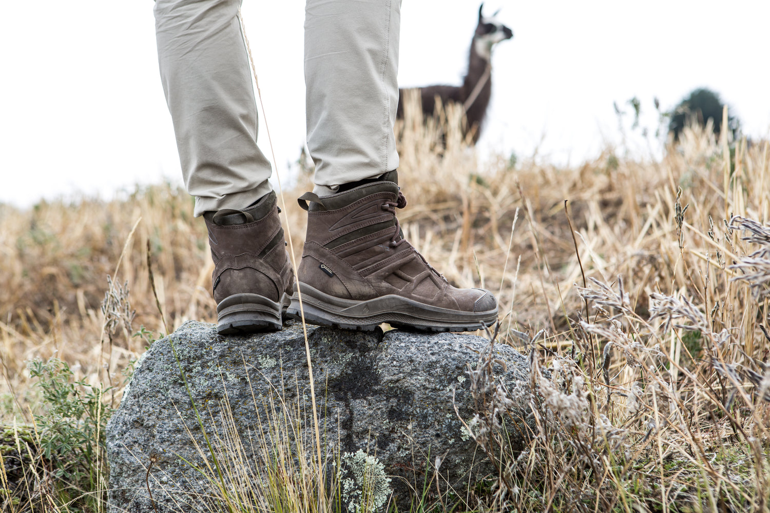 HAIX® BLACK EAGLE Nature GTX mid brown