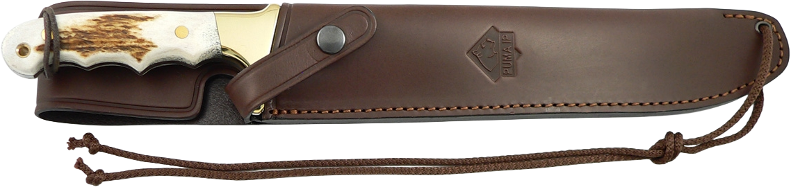 PUMA IP longhorn stag