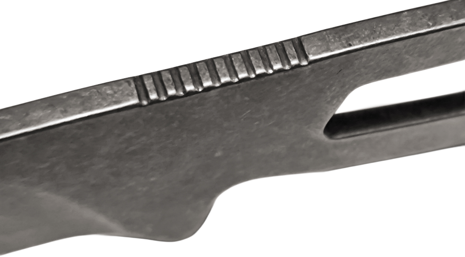 PUMA steel star frischling