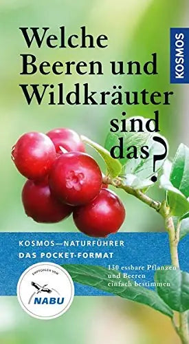 Welche Beeren und Wildkräuter sind das?
