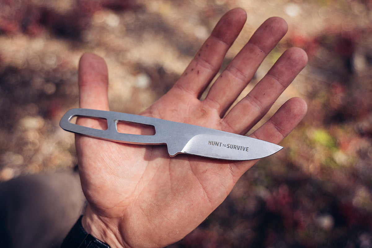 PUMA steel star frischling